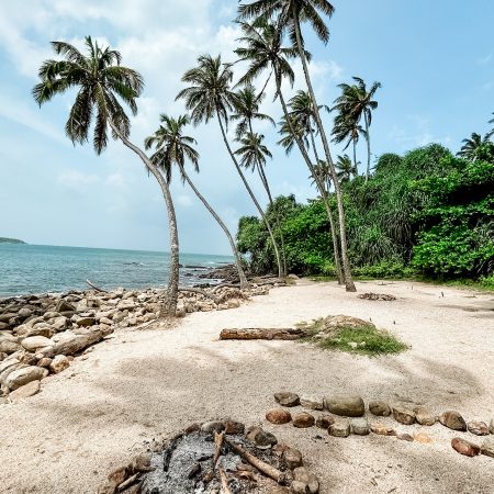 Onze tips voor Hiriketiya: dé ultieme relaxplek in Sri Lanka