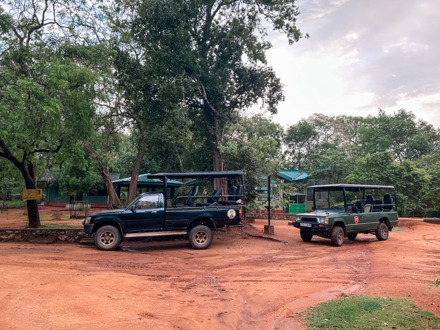 Safari in Sri Lanka Wilpattu & Yala National Park