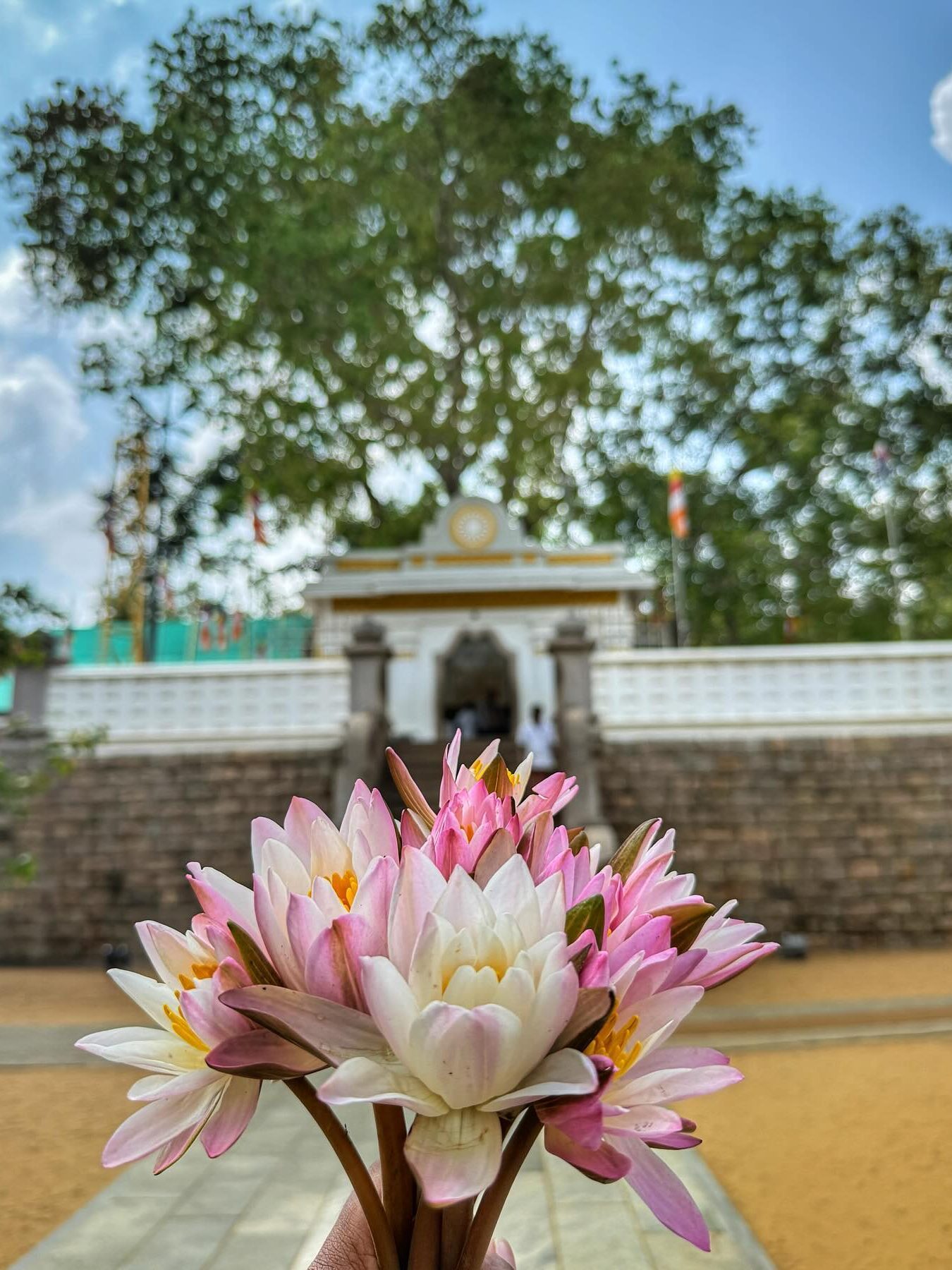 Anuradhapura tuk tuk tour sri lanka Sri Maha Bodhi