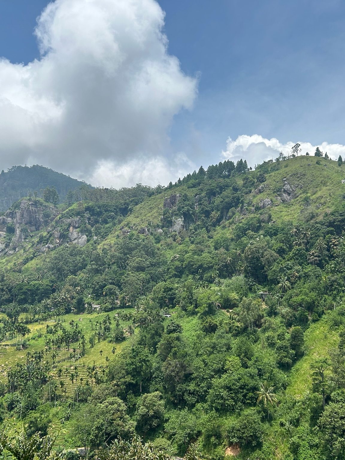 Het uitzicht vanuit onze hotelkamer in Ella, leukste hotels Sri Lanka rondreis