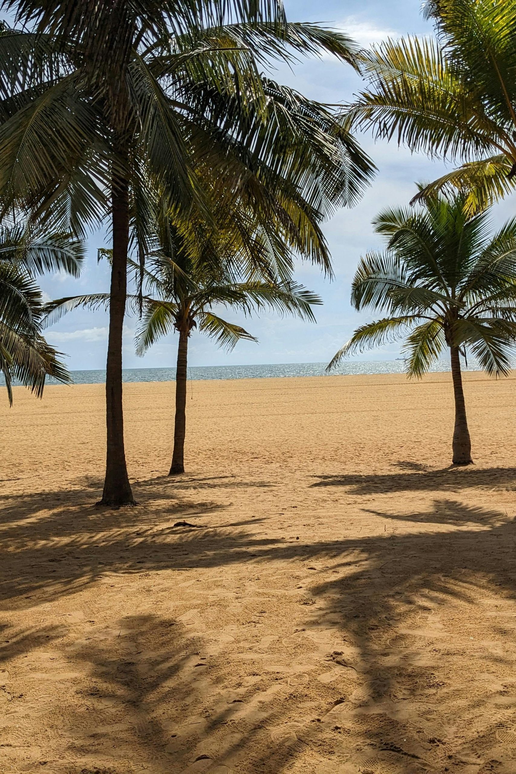 Negombo te doen bezienswaardigheden