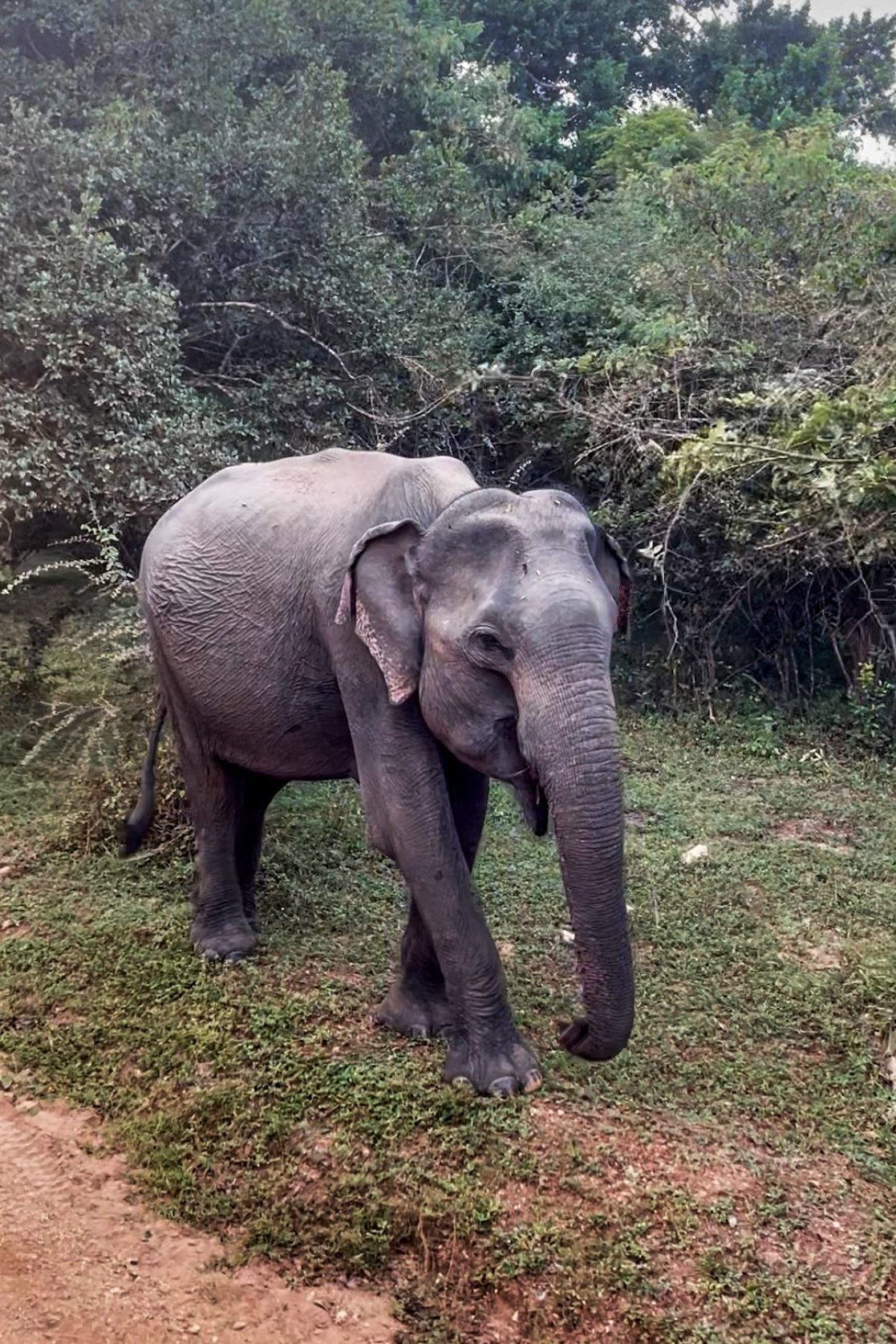 Overnachten Sri Lanka Yala National park
