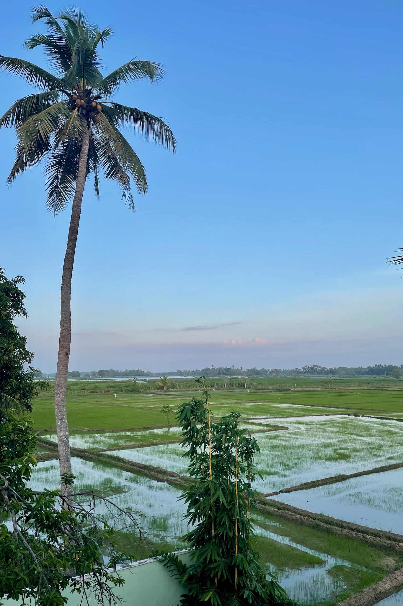 Tissamaharama hotel