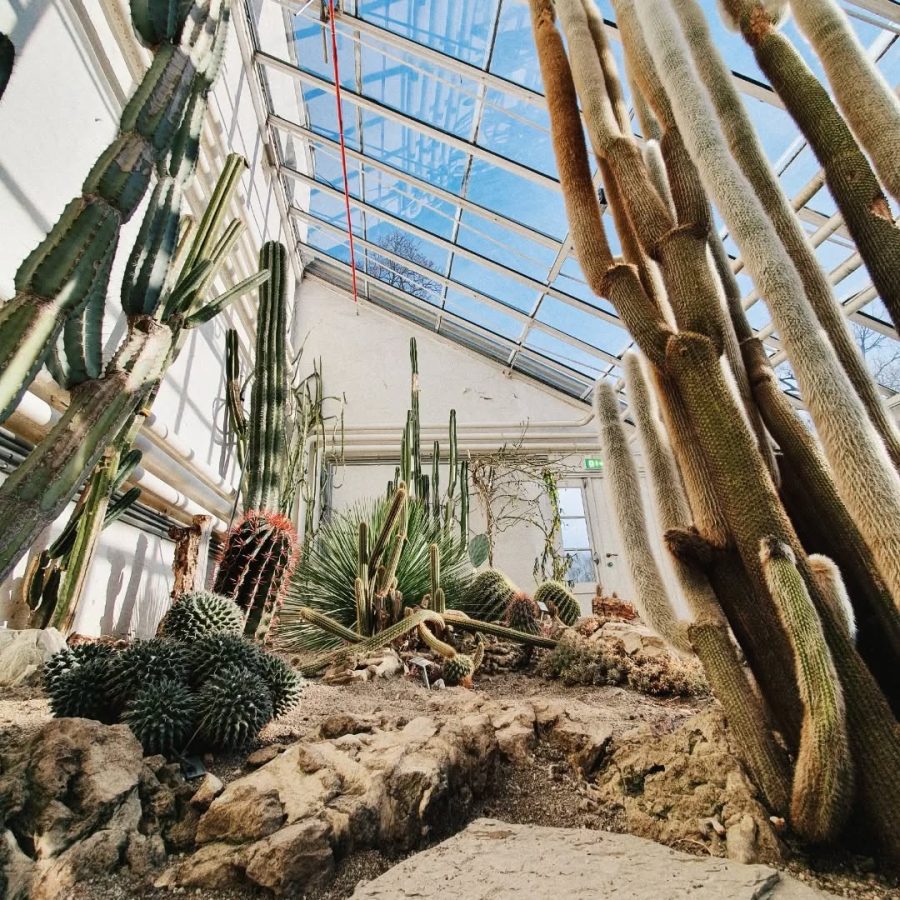 botanische tuin oslo