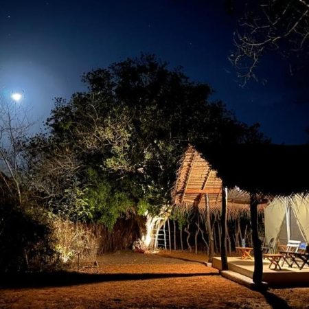Yala National Park | De grootste kans op het zien van een luipaard