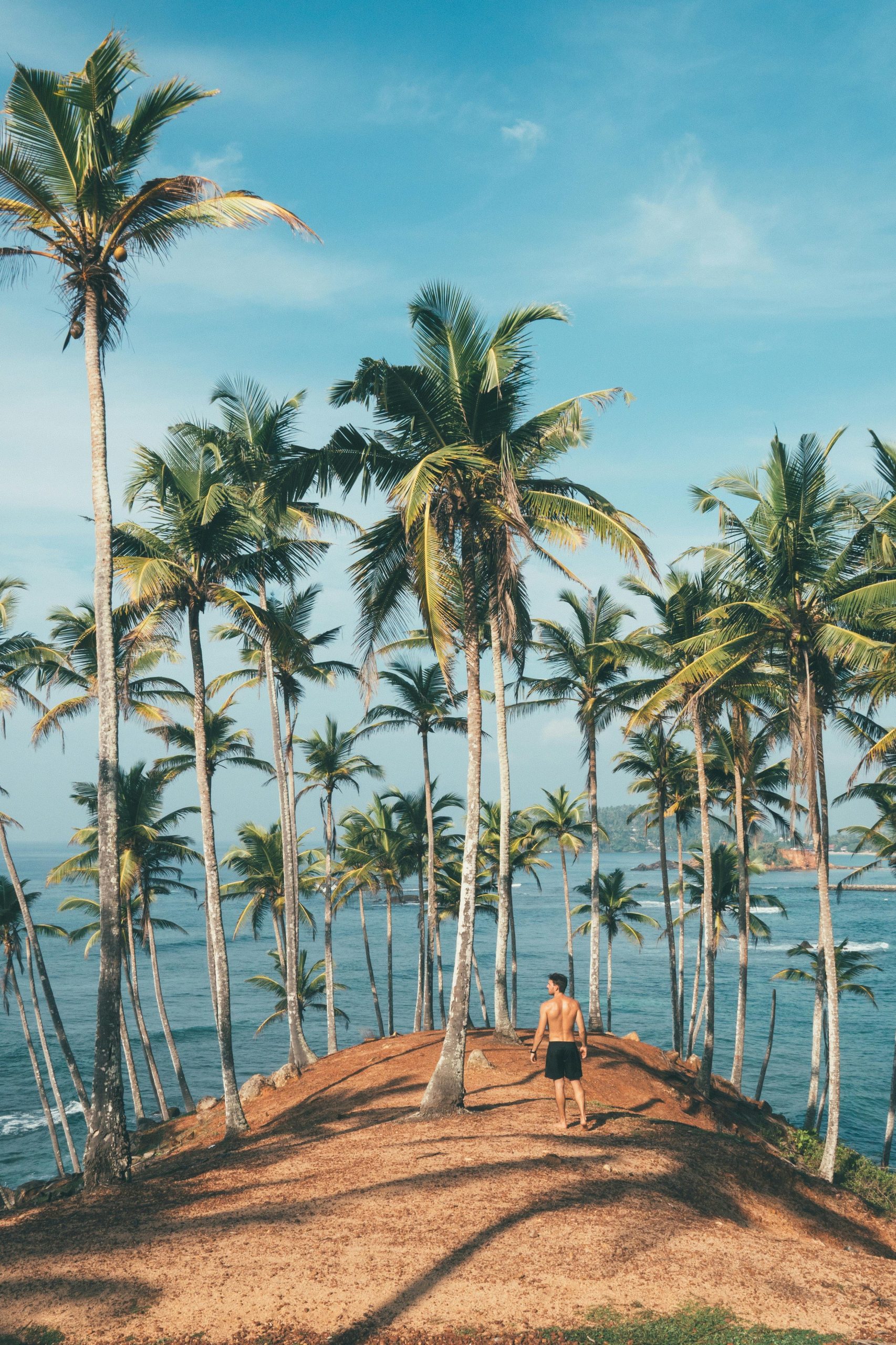 Palm tree hill Mirissa