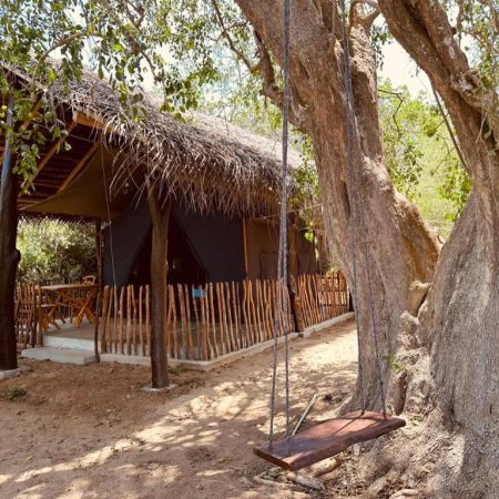 Glamping in Sri Lanka bij Yala