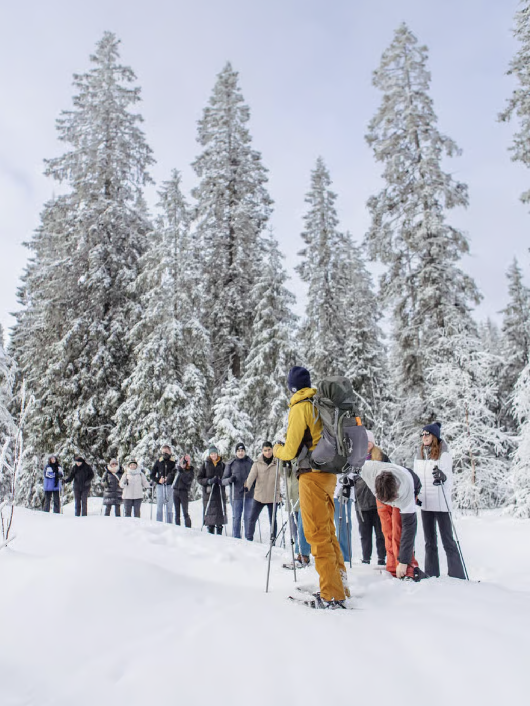 kerst oslo sneeuwschoenwandeling