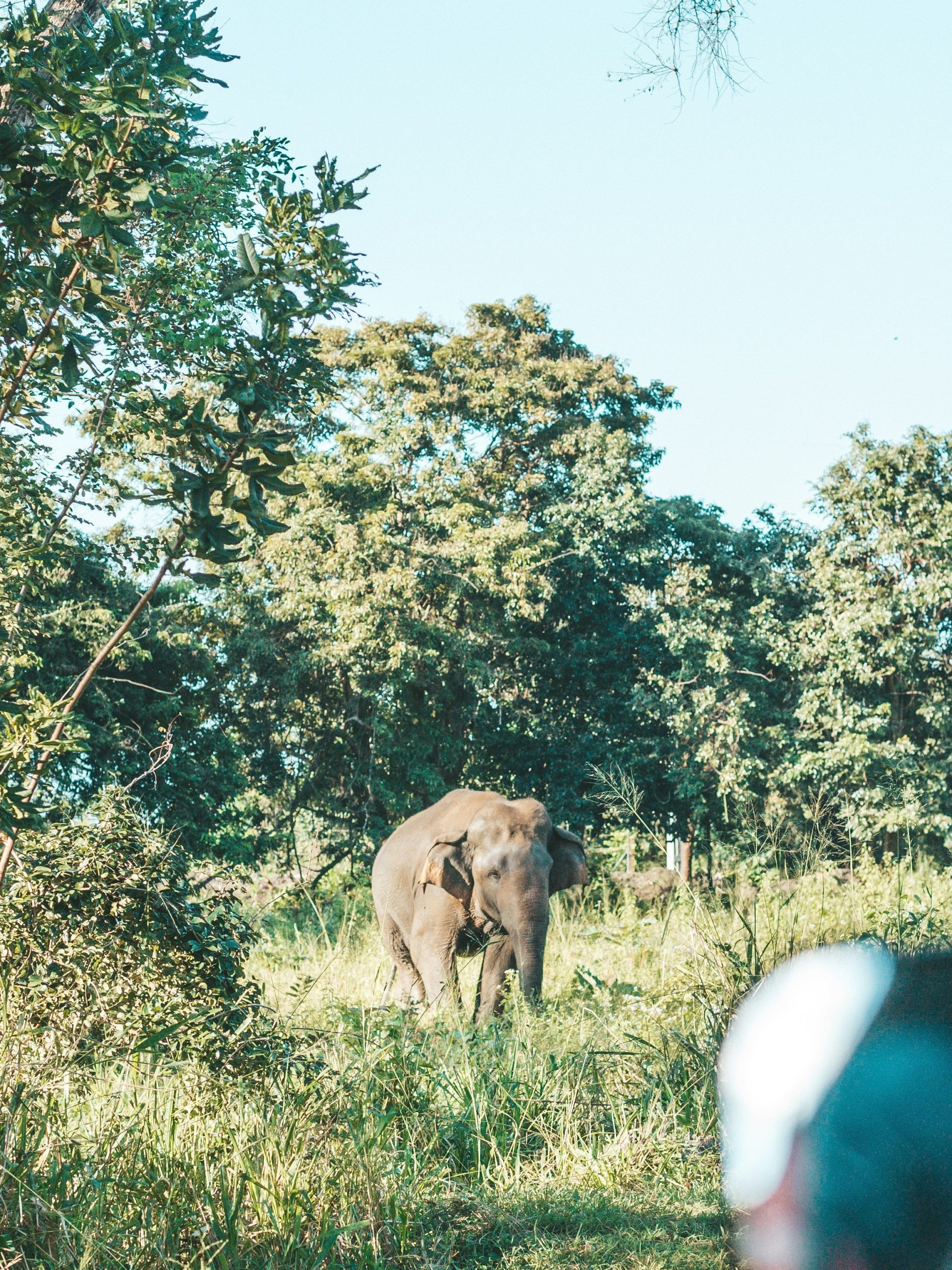 wat kost een reis naar sri lanka kosten