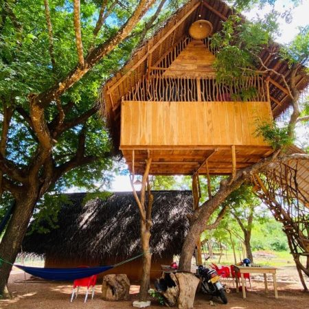 Boomhut Sri Lanka goedkoop overnachten