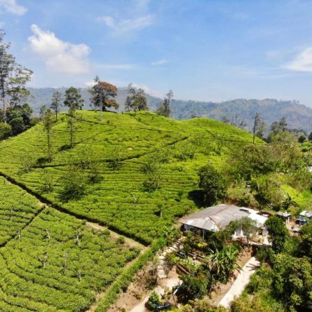 Goedkoop overnachten Ella theeplantages Sri Lanka