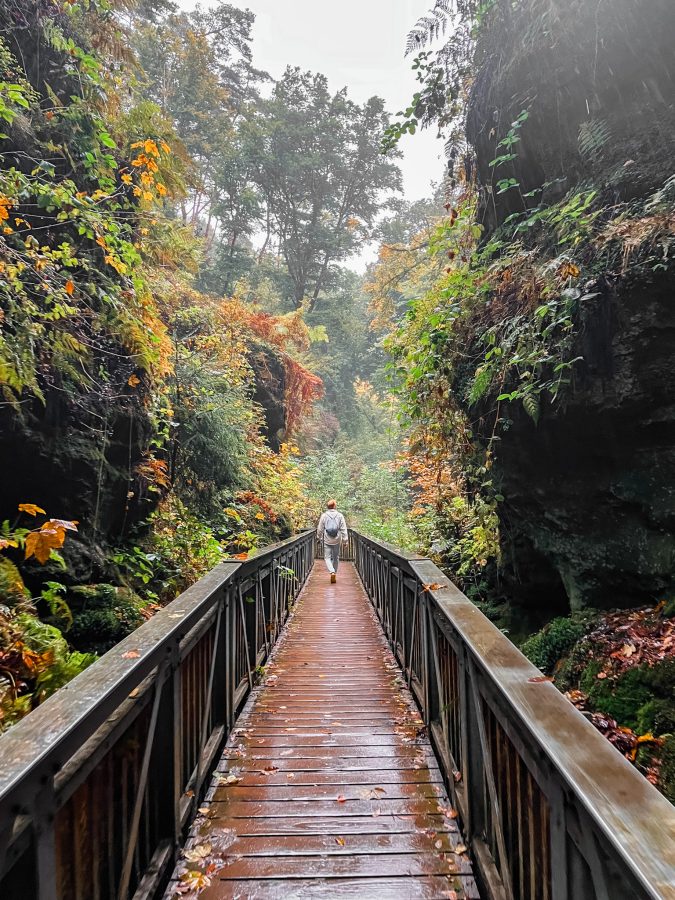 Herfstkleuren langs de trail