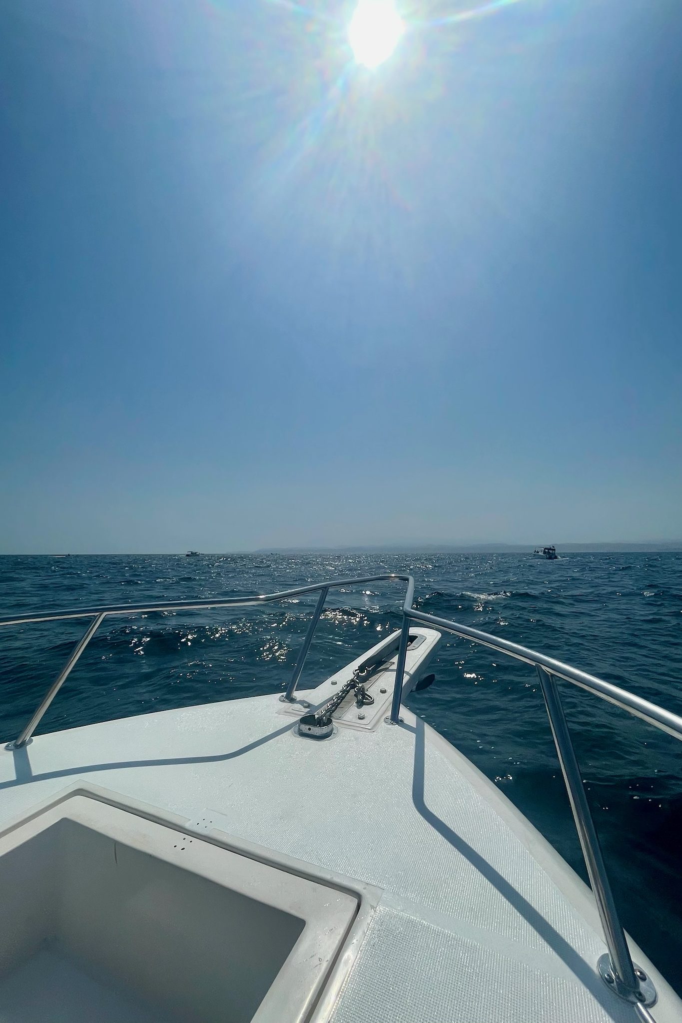 Dolfijnen Muscat tour spotten