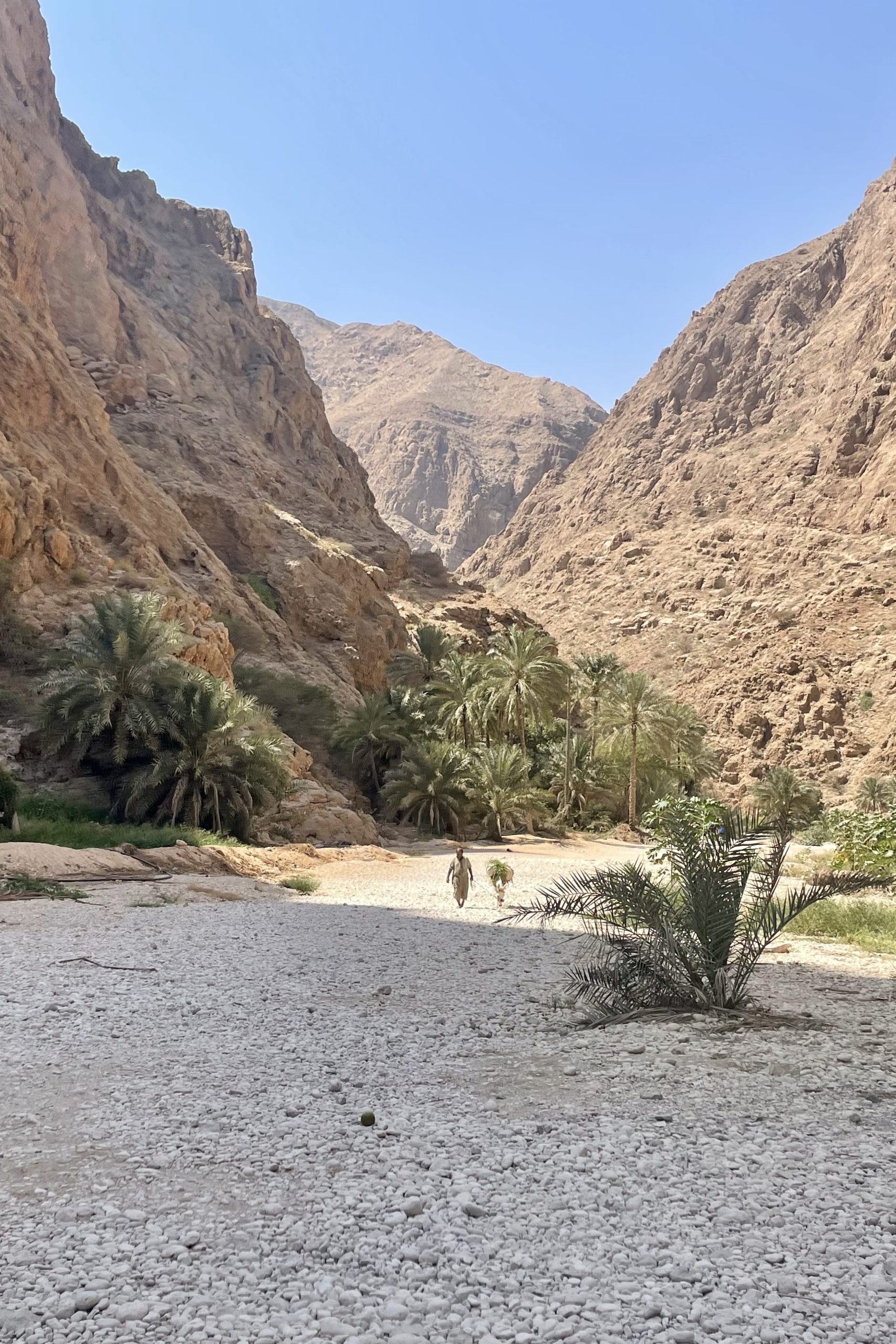 Favoriete wadi Oman