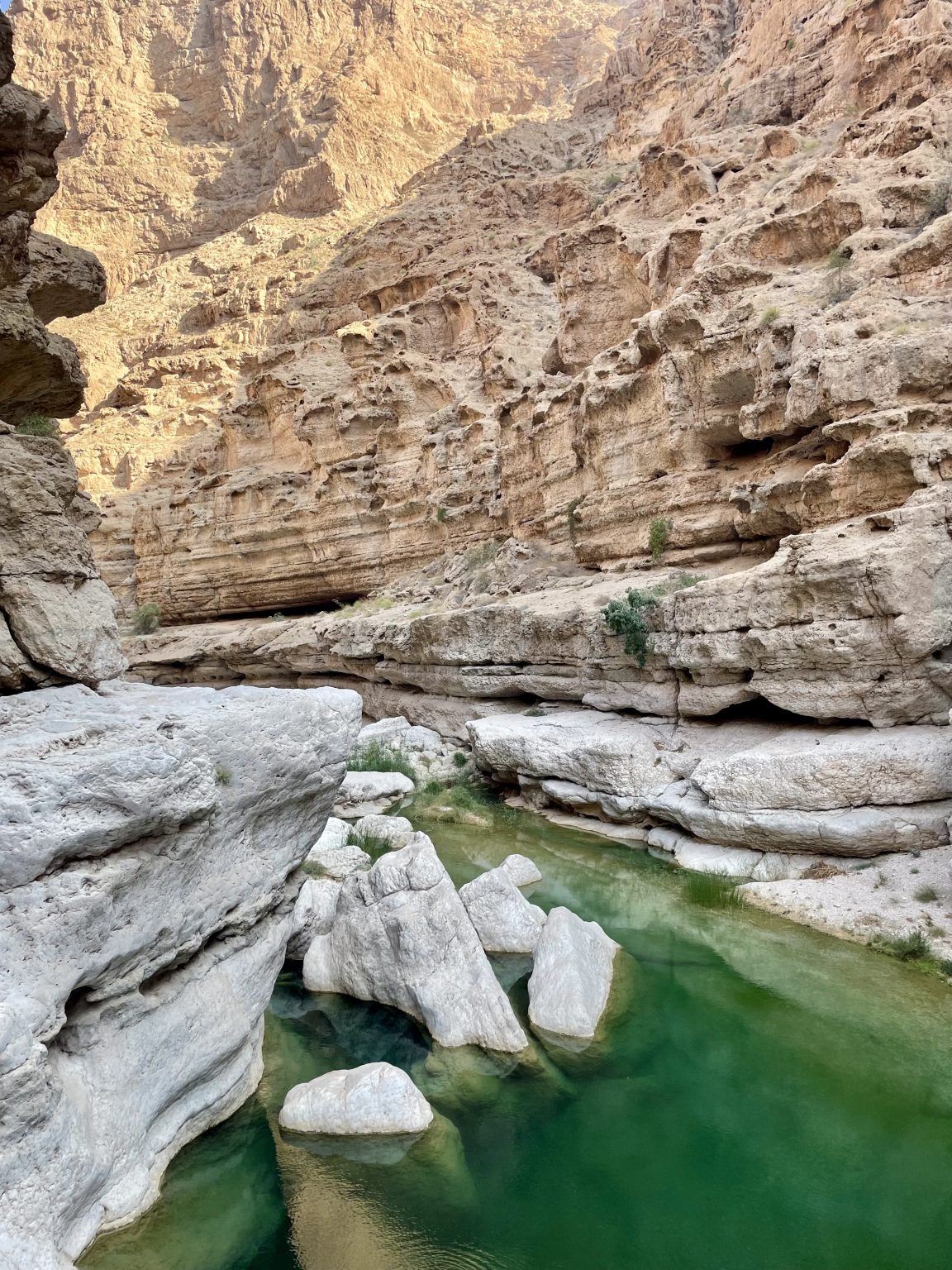 Wadi Riolering Mooiste wadi's van Oman: Onze ervaring + tips