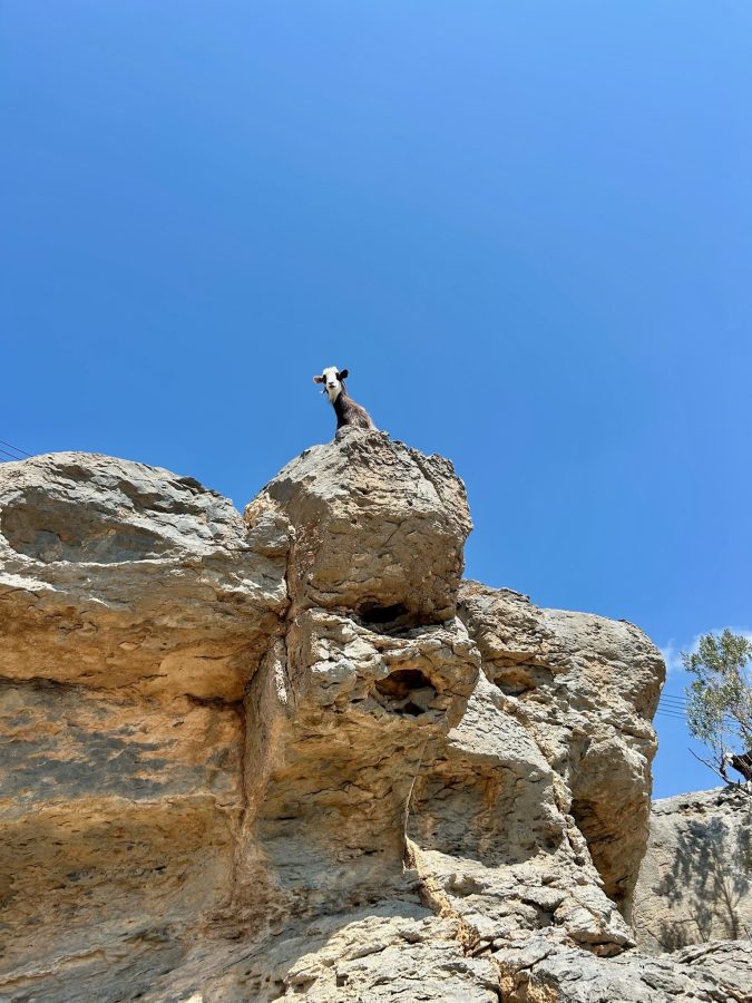 Wandelen activiteiten Oman