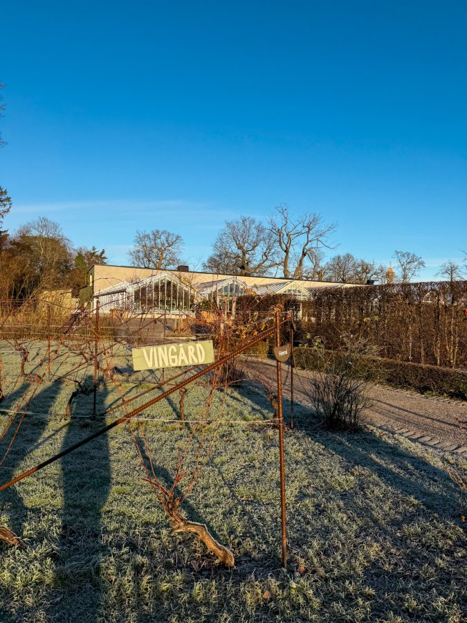 Rosendals Trädgårdskafé