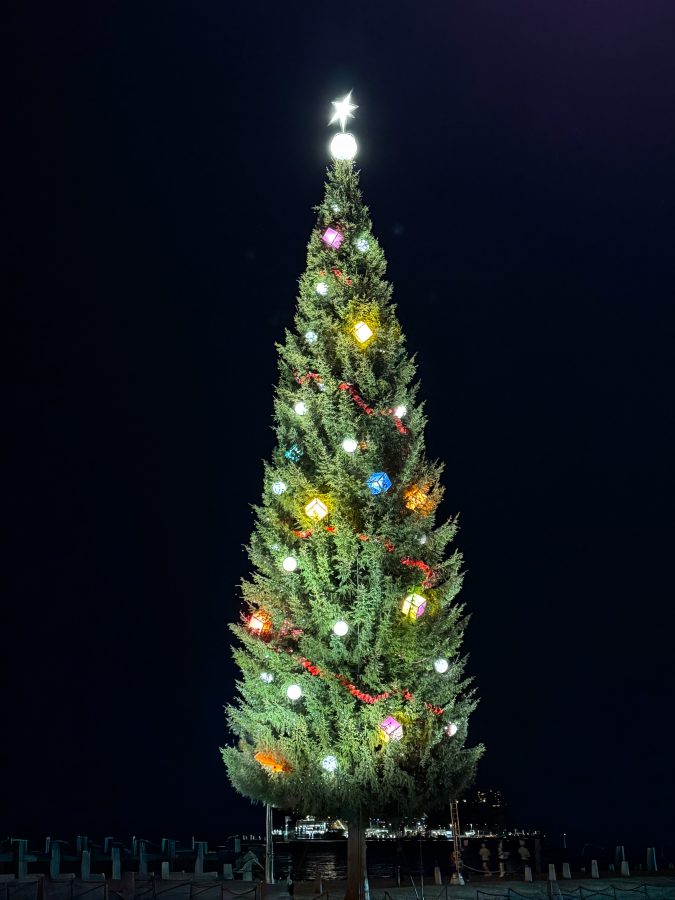 kerstversiering stockholm grootste kerstboom