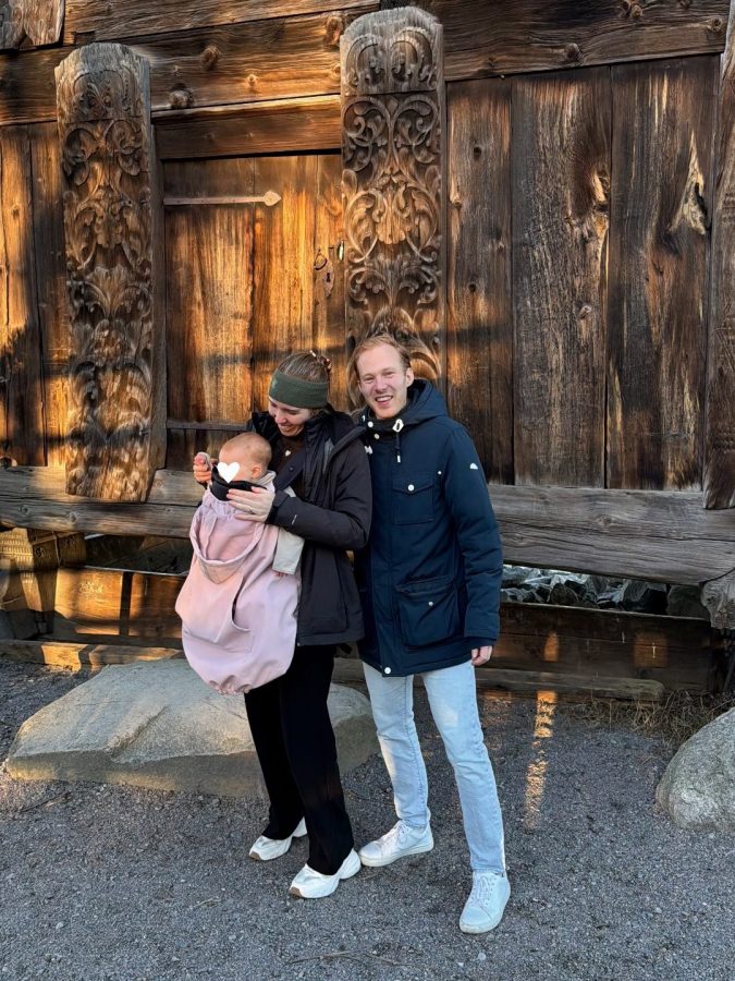 skansen in stockholm museum bezoeken