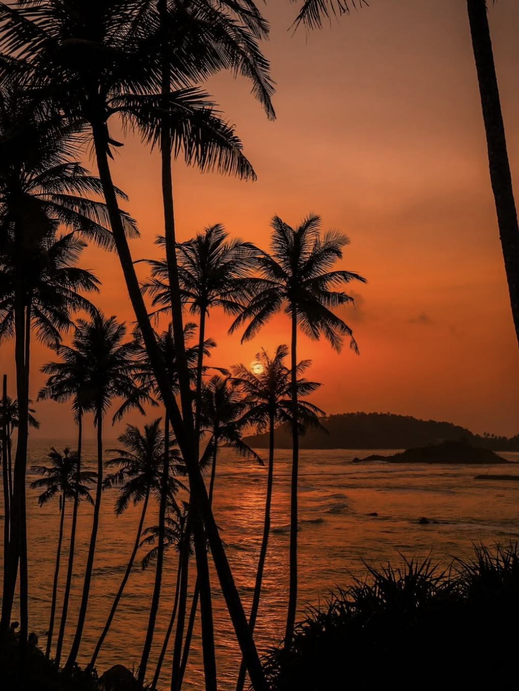 strand mirissa leuke dingen om te doen