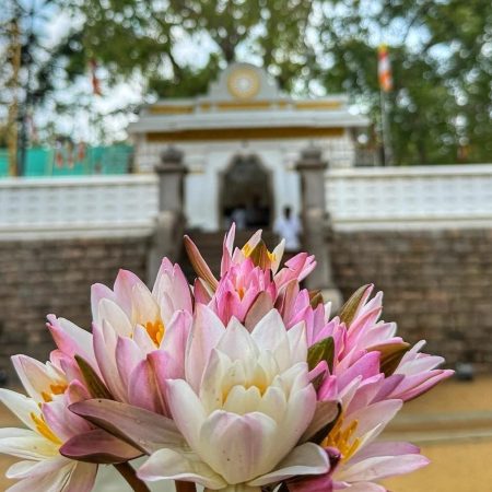 Anuradhapura tuk tuk tour sri lanka Sri Maha Bodhi