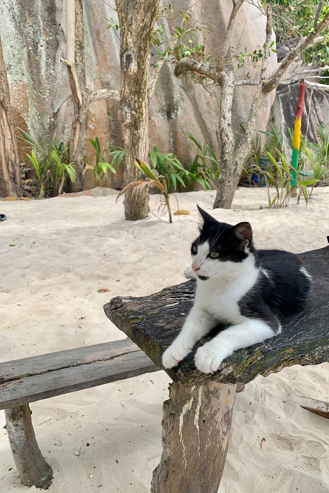 Seychellen bezienswaardigheden wat te doen stranden