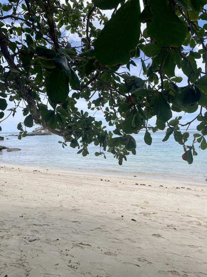 Mahe Anse Royale mooiste stranden Seychellen