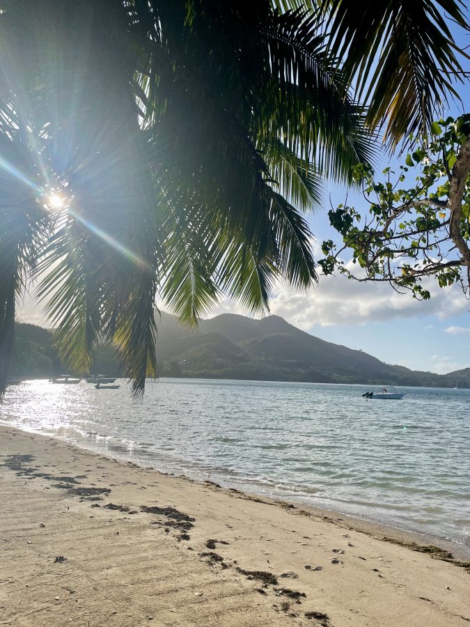 Snorkelen tips Praslin