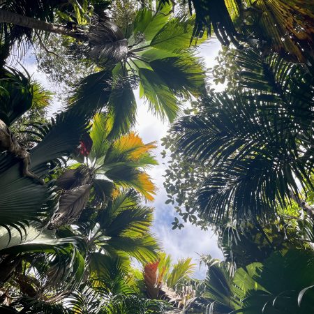 Leuke dingen om te zien en te doen op de Seychellen - Onze tips