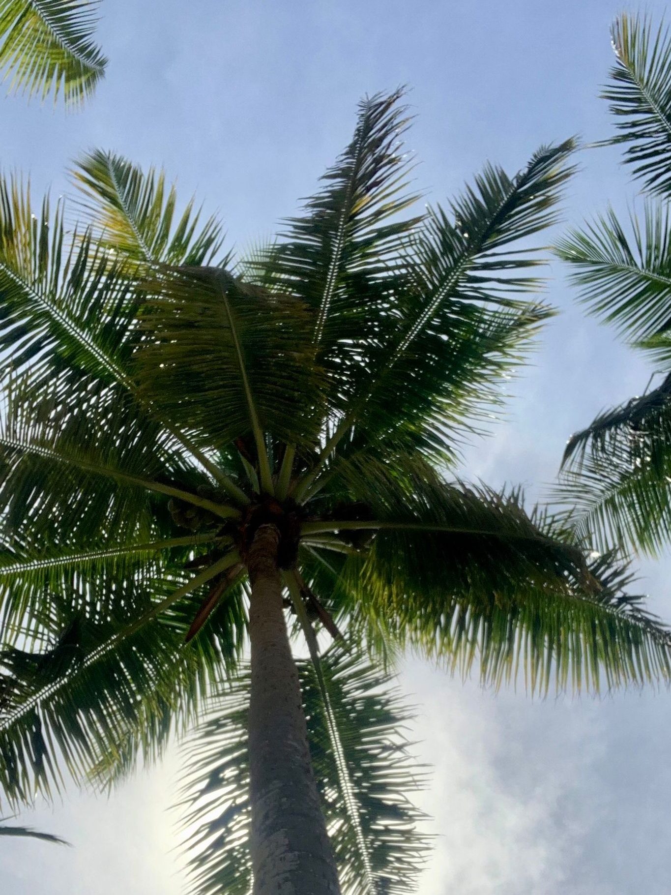 Wat kost een reis naar de Seychellen?
