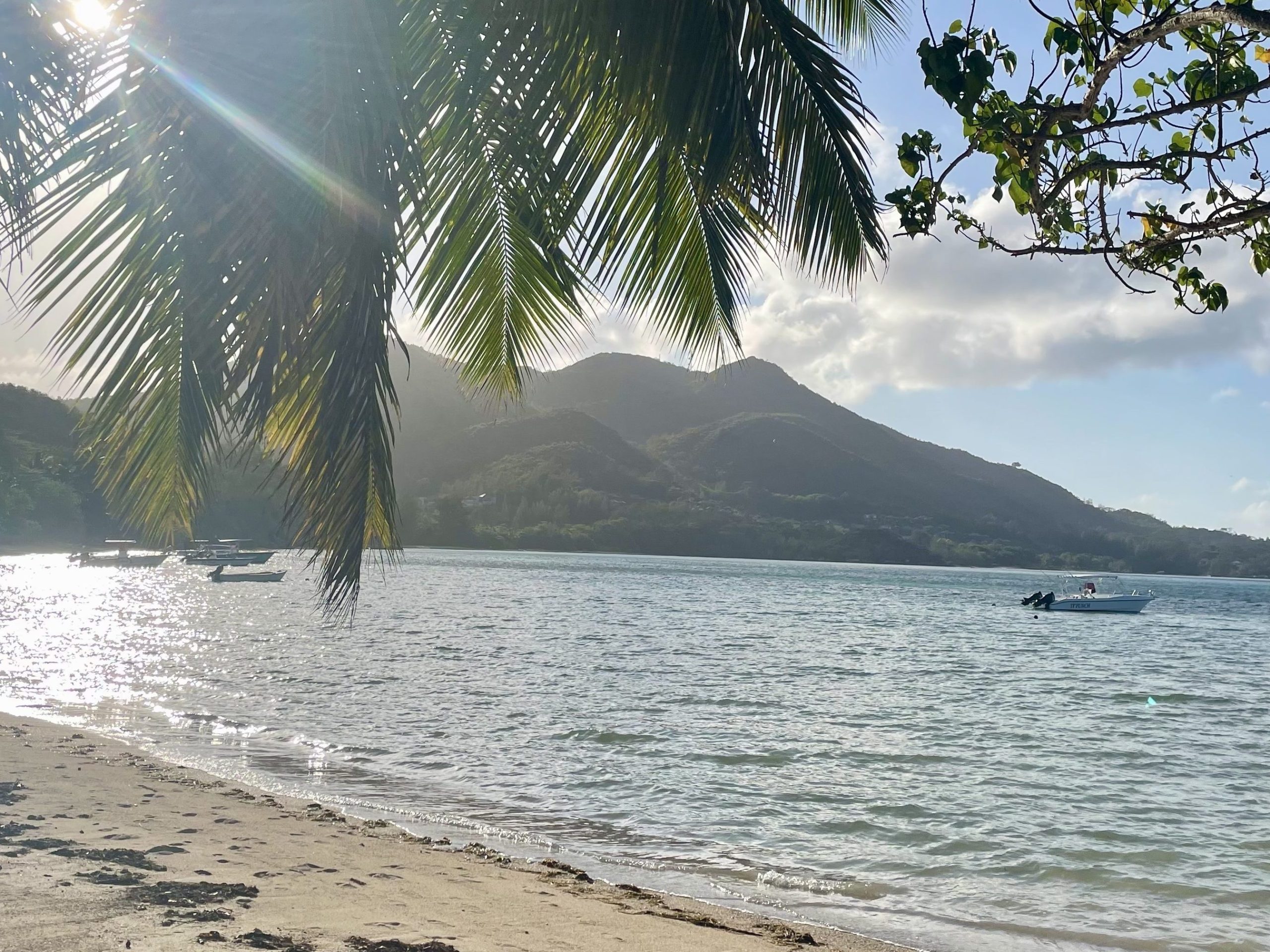 Praslin Seychellen eilandhoppen strand
