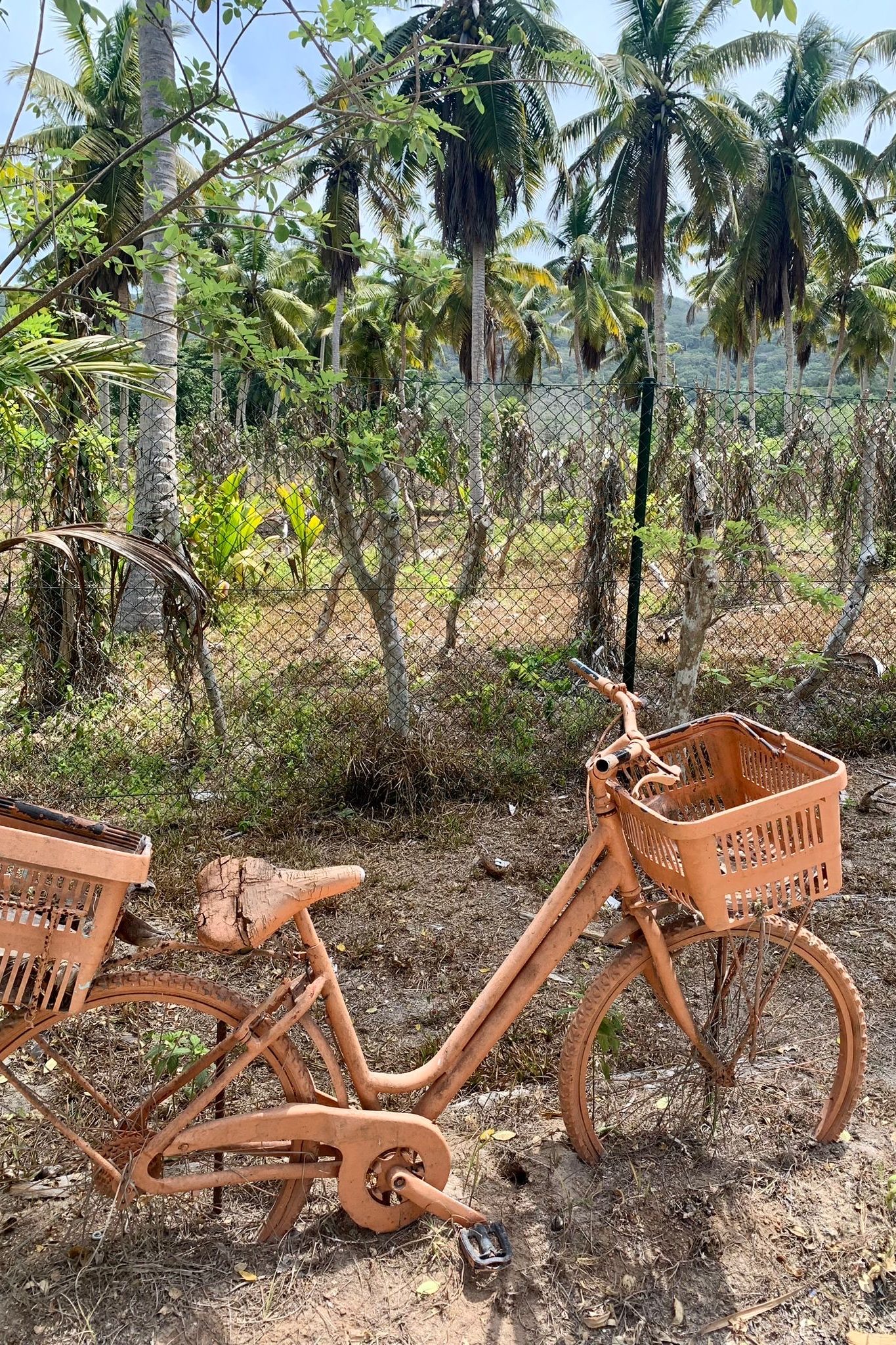 La Digue doen en zien bezienswaardigheden L'Union Estate
