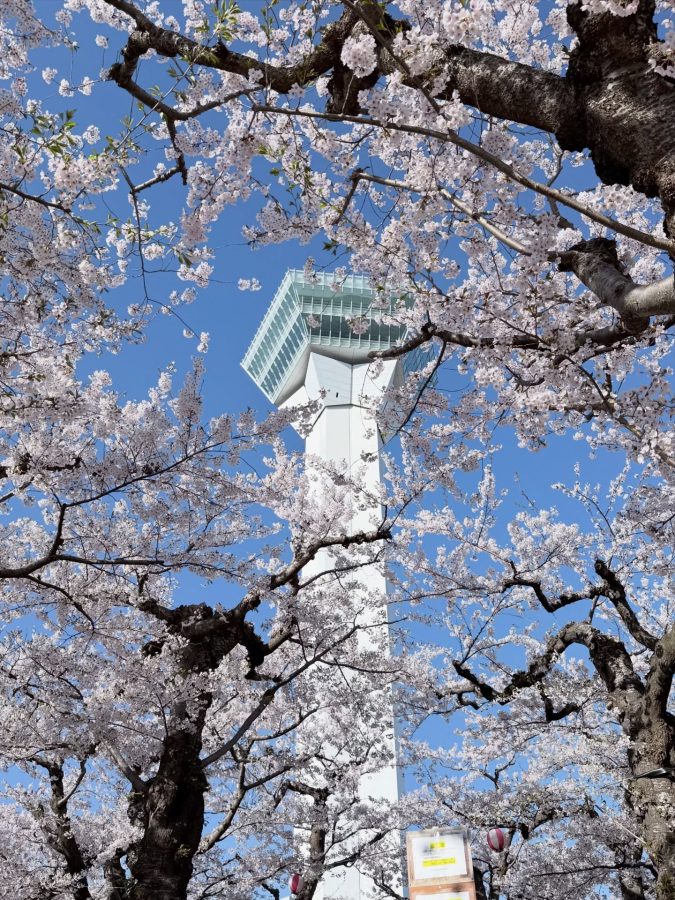 hotels in japan in hakodate