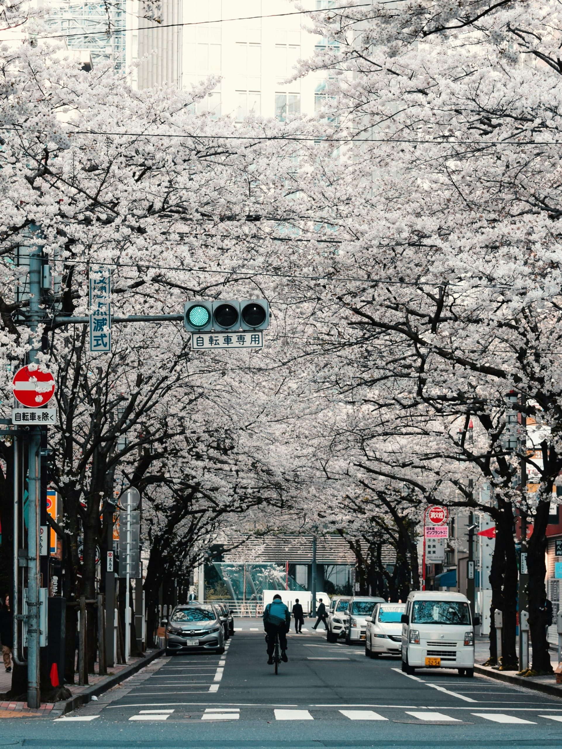 rondreis japan tokyo reisroute