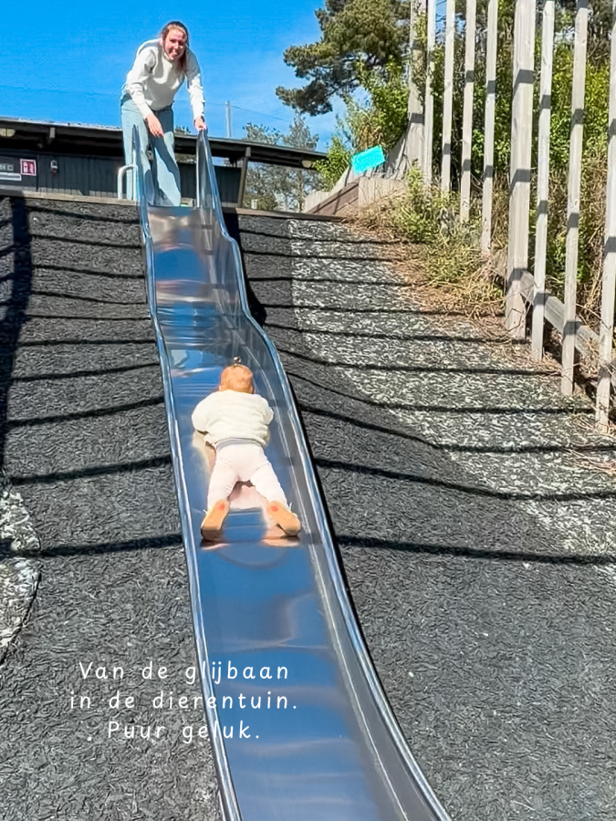 helsinki met kinderen dierentuin