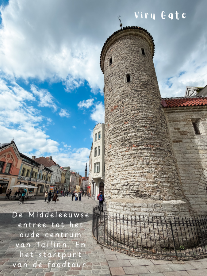 bezienswaardigheden tallinn viru gate