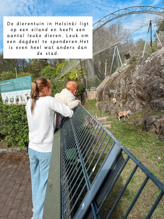 ingen-om-te-doen-met-kinderen-helsinki-dierentuin