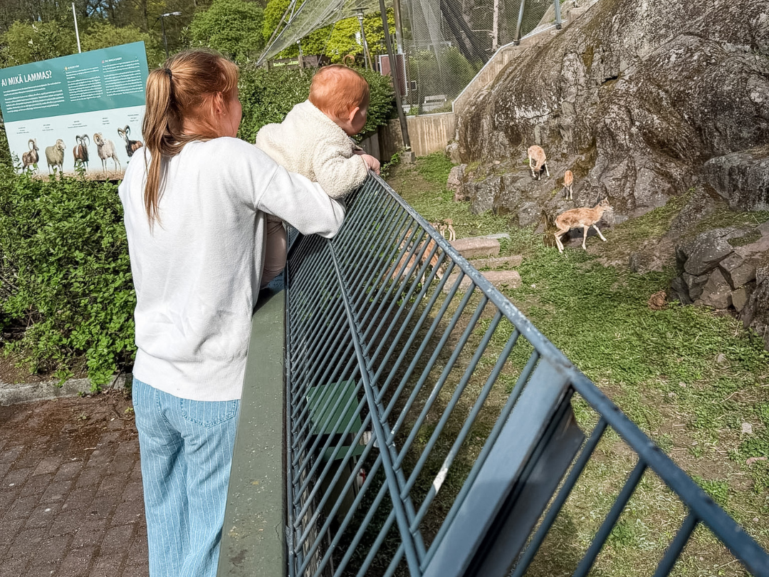 ingen-om-te-doen-met-kinderen-helsinki-dierentuin