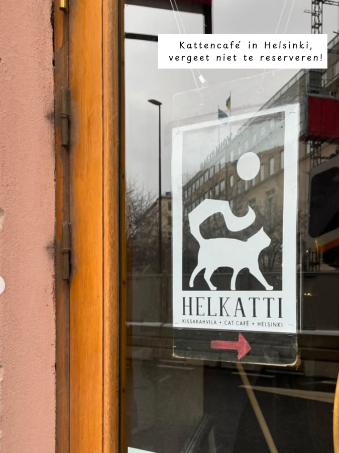 kattencafe helsinki leuk om te doen met kinderen