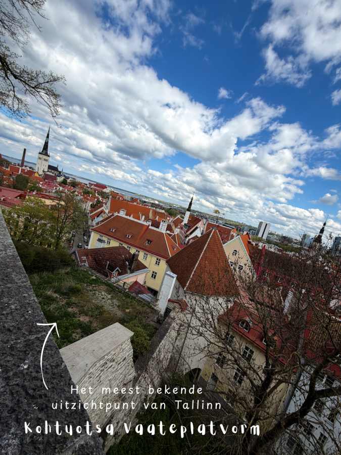 leuke-dingen-tallinn-uitzichtpunt